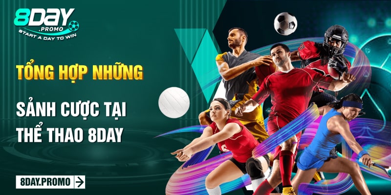 Thể Thao 8Day 13 Tổng hợp những sảnh cược tại Thể Thao 8Day